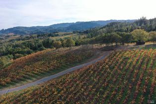 Residential Acreage,  Dry Creek road, Healdsburg, CA 95448 - 83