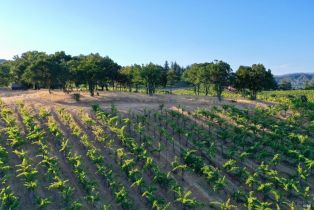 Residential Acreage,  Dry Creek road, Healdsburg, CA 95448 - 52