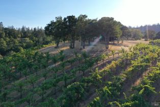 Residential Acreage,  Dry Creek road, Healdsburg, CA 95448 - 51