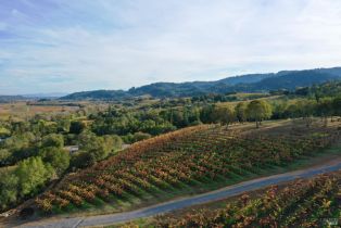 Residential Acreage,  Dry Creek road, Healdsburg, CA 95448 - 92