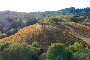 Residential Acreage,  Dry Creek road, Healdsburg, CA 95448 - 84