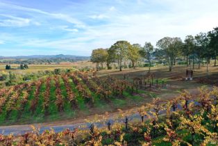 Residential Acreage,  Dry Creek road, Healdsburg, CA 95448 - 76