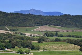 Residential Acreage,  Dry Creek road, Healdsburg, CA 95448 - 28