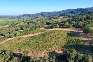 Residential Acreage,  Dry Creek road, Healdsburg, CA 95448 - 20