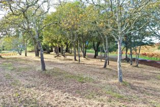 Residential Acreage,  Dry Creek road, Healdsburg, CA 95448 - 71