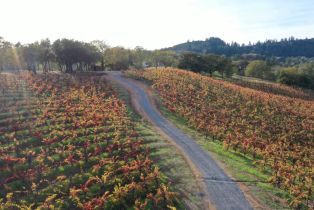 Residential Acreage,  Dry Creek road, Healdsburg, CA 95448 - 58