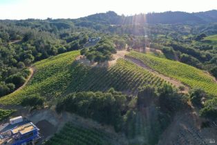 Residential Acreage,  Dry Creek road, Healdsburg, CA 95448 - 42