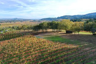 Residential Acreage,  Dry Creek road, Healdsburg, CA 95448 - 80