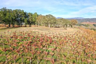 Residential Acreage,  Dry Creek road, Healdsburg, CA 95448 - 16