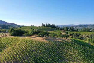 Residential Acreage,  Dry Creek road, Healdsburg, CA 95448 - 23