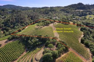 Residential Acreage,  Dry Creek road, Healdsburg, CA 95448 - 4