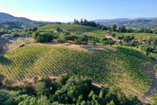 Residential Acreage,  Dry Creek road, Healdsburg, CA 95448 - 35