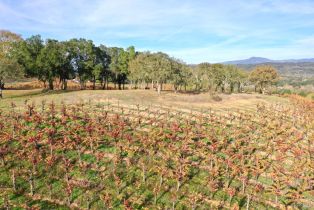 Residential Acreage,  Dry Creek road, Healdsburg, CA 95448 - 86