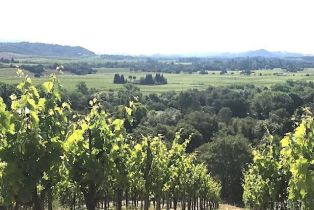 Residential Acreage,  Dry Creek road, Healdsburg, CA 95448 - 25