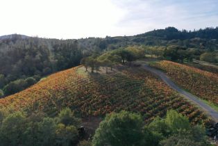 Residential Acreage,  Dry Creek road, Healdsburg, CA 95448 - 59
