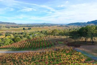 Residential Acreage,  Dry Creek road, Healdsburg, CA 95448 - 77