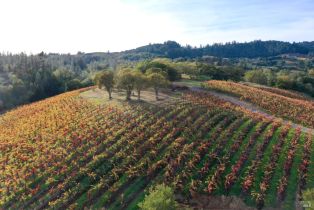 Residential Acreage,  Dry Creek road, Healdsburg, CA 95448 - 2