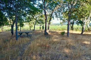 Residential Acreage,  Dry Creek road, Healdsburg, CA 95448 - 39