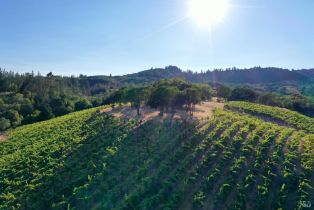 Residential Acreage,  Dry Creek road, Healdsburg, CA 95448 - 34