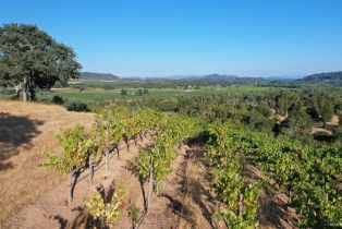 Residential Acreage,  Dry Creek road, Healdsburg, CA 95448 - 45
