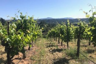 Residential Acreage,  Dry Creek road, Healdsburg, CA 95448 - 55