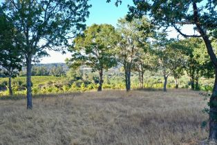 Residential Acreage,  Dry Creek road, Healdsburg, CA 95448 - 31