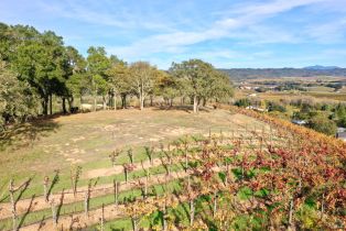 Residential Acreage,  Dry Creek road, Healdsburg, CA 95448 - 88