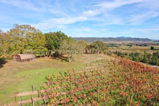 Residential Acreage,  Dry Creek road, Healdsburg, CA 95448 - 15