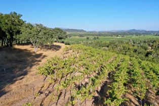 Residential Acreage,  Dry Creek road, Healdsburg, CA 95448 - 37