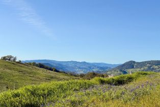 Agriculture,  River road, Cloverdale, CA 95425 - 3