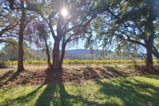 Single Family Residence,  Saint Helena highway, Calistoga, CA 94515 - 70