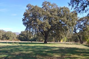 Single Family Residence,  Saint Helena highway, Calistoga, CA 94515 - 67