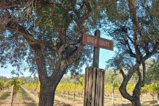 Single Family Residence,  Saint Helena highway, Calistoga, CA 94515 - 61