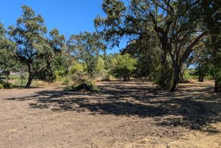 Single Family Residence,  Saint Helena highway, Calistoga, CA 94515 - 83