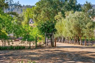 Single Family Residence,  Saint Helena highway, Calistoga, CA 94515 - 4