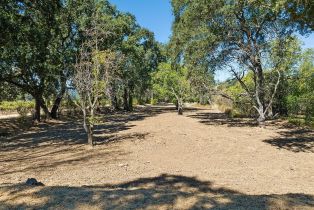 Single Family Residence,  Saint Helena highway, Calistoga, CA 94515 - 63