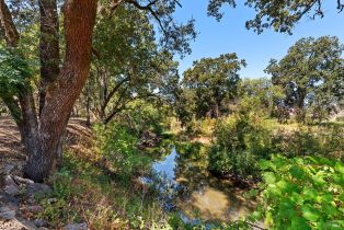 Single Family Residence,  Saint Helena highway, Calistoga, CA 94515 - 58