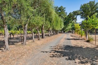 Single Family Residence,  Saint Helena highway, Calistoga, CA 94515 - 2