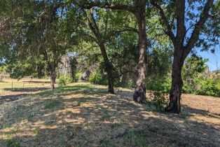 Single Family Residence,  Saint Helena highway, Calistoga, CA 94515 - 80