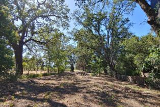 Single Family Residence,  Saint Helena highway, Calistoga, CA 94515 - 64