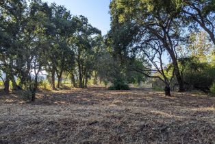 Single Family Residence,  Saint Helena highway, Calistoga, CA 94515 - 76