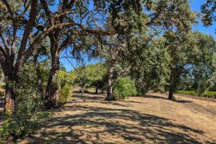 Single Family Residence,  Saint Helena highway, Calistoga, CA 94515 - 84