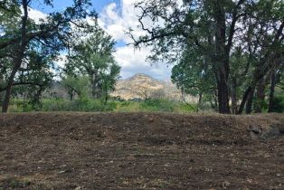 Single Family Residence,  Saint Helena highway, Calistoga, CA 94515 - 59