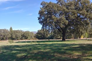 Single Family Residence,  Saint Helena highway, Calistoga, CA 94515 - 68