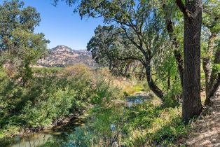 Single Family Residence,  Saint Helena highway, Calistoga, CA 94515 - 51