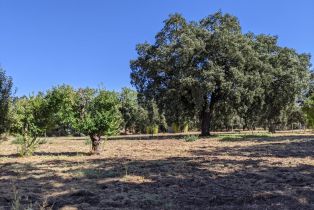 Single Family Residence,  Saint Helena highway, Calistoga, CA 94515 - 73