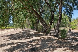 Single Family Residence,  Saint Helena highway, Calistoga, CA 94515 - 65