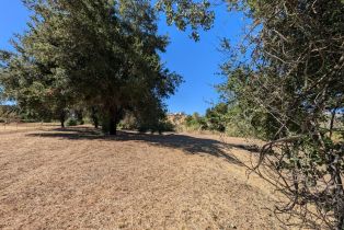 Single Family Residence,  Saint Helena highway, Calistoga, CA 94515 - 85
