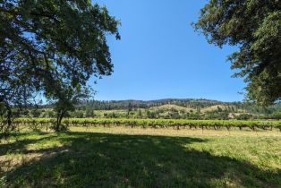 Single Family Residence,  Saint Helena highway, Calistoga, CA 94515 - 79