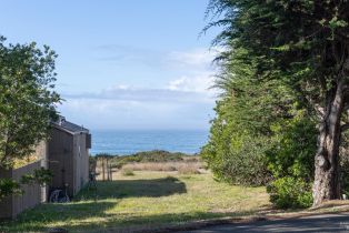 Single Family Residence, Shepherds Close none, Sea Ranch, CA 95497 - 2